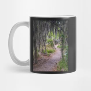 Hiking Trail in Santa Ana NWR Mug